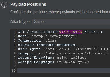 Burp Intruder payload